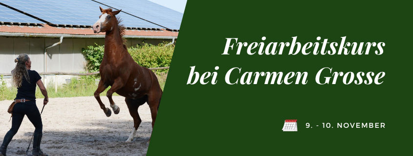 Freiarbeitskurs Carmen Grosse